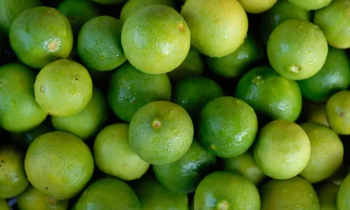 
          Imagem ilustrativa da imagem Notícias do Campo: vacina, pragas, direito, cultura e Mata Atlântica
          