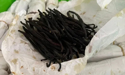 
          Imagem ilustrativa da imagem Novos produtos do campo chegam a R$ 6 mil o quilo
          