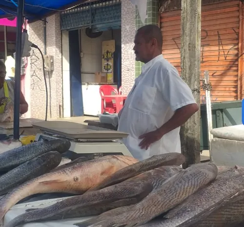 
          Imagem ilustrativa da imagem Olinda tem forró em pontos de vendas de peixes
          