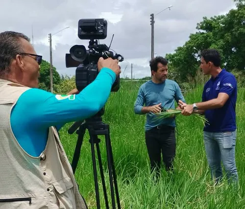 
          Imagem ilustrativa da imagem Pasto saudável, literatura de cordel e como foi a Agrishow, no Notícias do Campo
          