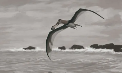 
          Imagem ilustrativa da imagem Pesquisador da Ufes decifra enigma da era dos dinossauros
          