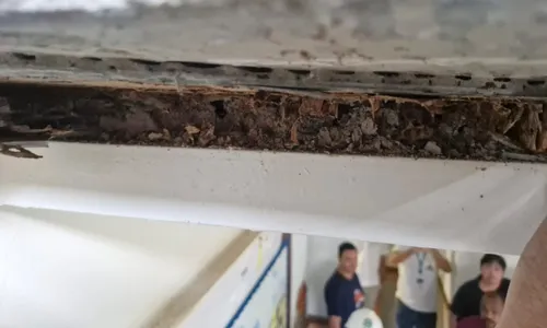 
          Imagem ilustrativa da imagem Piso de escola onde professora caiu em Vitória foi danificado por cupins, diz Crea
          