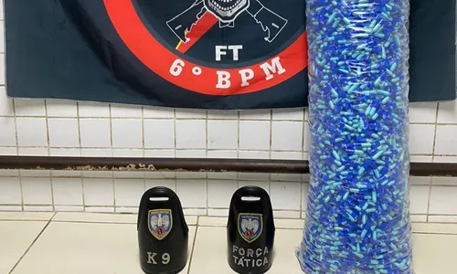 
          Imagem ilustrativa da imagem Quase 10 mil pinos de cocaína são apreendidos na Serra
          