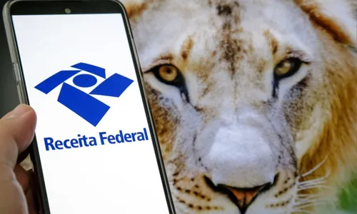 
          Imagem ilustrativa da imagem Prazo para declarar o Imposto de Renda chega ao final nesta sexta
          