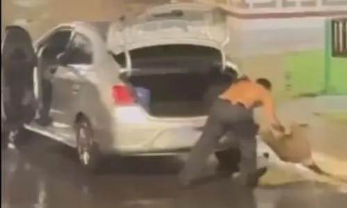 
          Imagem ilustrativa da imagem Servidor da Aeronáutica é preso após ser filmado furtando grama de praça
          