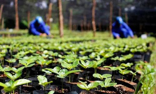 
          Imagem ilustrativa da imagem Suape é reconhecido por excelência em gestão pela 3ª vez consecutiva
          