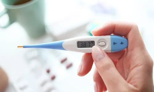 
          Imagem ilustrativa da imagem Transmitida por mosquito, febre oropouche tem alta no Brasil
          