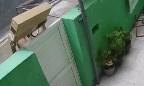 
          Imagem ilustrativa da imagem VÍDEO | Entregador joga televisão por cima de portão de casa
          