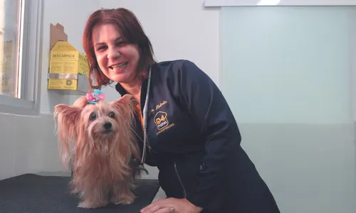 
          Imagem ilustrativa da imagem Veterinários apontam perigos ao transportar pets
          