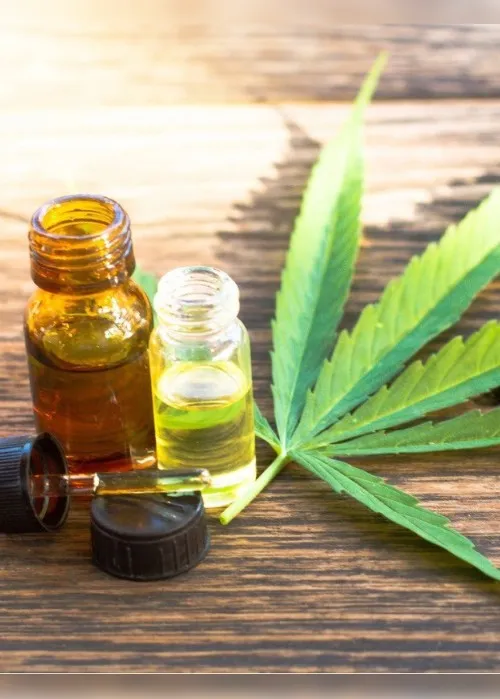 Imagem ilustrativa da imagem “A cannabis veio para revolucionar a medicina”, afirma médico