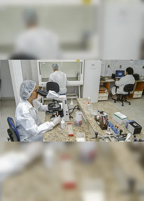 Imagem ilustrativa da imagem Em uma semana, 25 casos de Febre do Oropouche são confirmados no ES