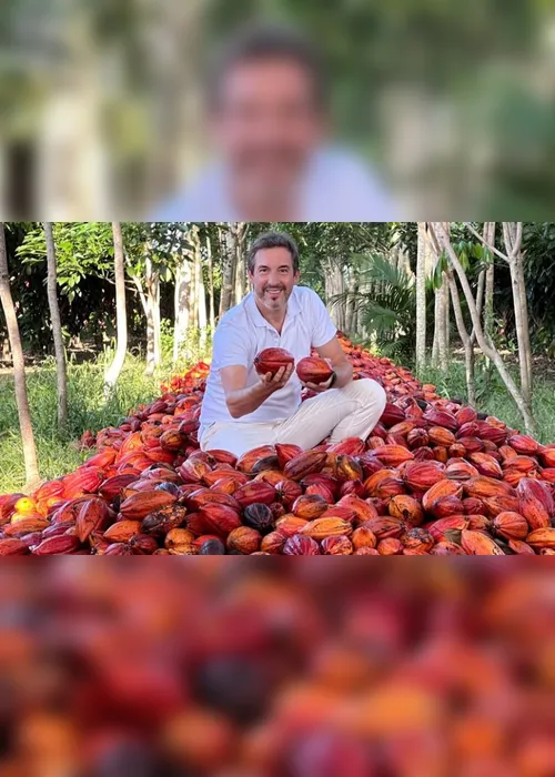 Imagem ilustrativa da imagem Empresa com fazenda no ES investe R$ 1 bilhão em cacau