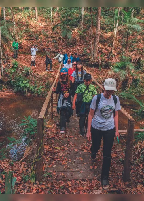 Imagem ilustrativa da imagem Encantos do ecoturismo nas montanhas capixabas