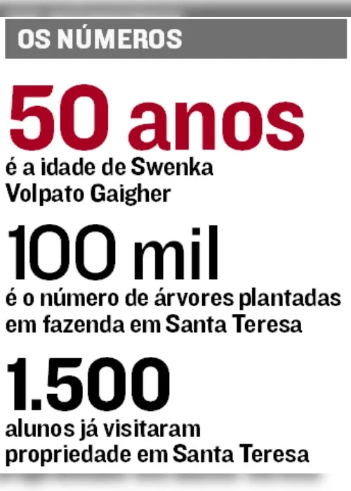 Imagem ilustrativa da imagem Engenheira planta árvores durante 20 anos em Anchieta