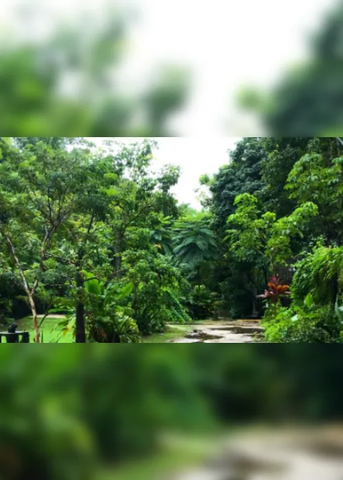 Imagem ilustrativa da imagem Jardim Secreto celebra o Dia da Terra com programação especial neste domingo