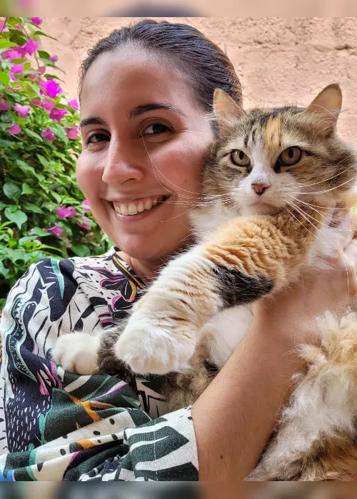Imagem ilustrativa da imagem Mutirão para castrar 5 mil cães e gatos na Grande Vitória