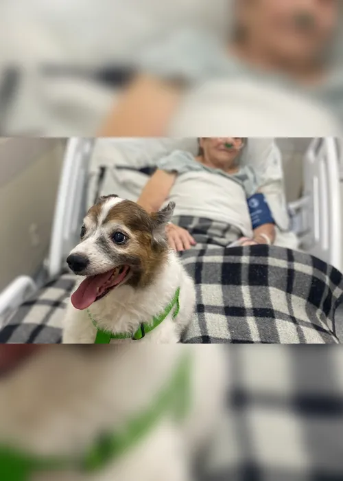 Imagem ilustrativa da imagem Visita inédita de cãozinho em hospital do ES leva alegria a pacientes