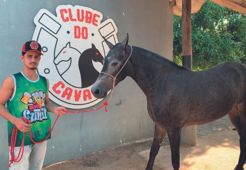 Luiz Fernando, de 18 anos, cria 9 cavalos mangalarga marchador no sítio da família em Alfredo Chaves