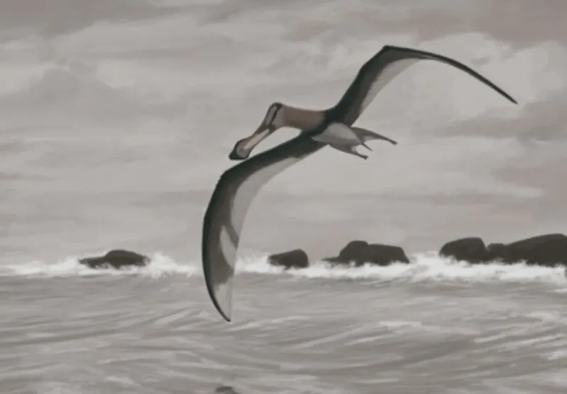 Imagem mostra pterossauro, réptil voador com tamanho até de girafa