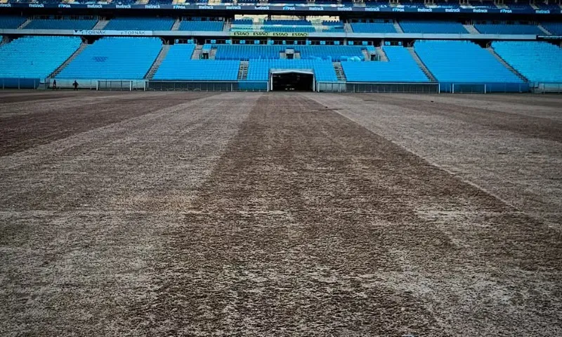 Imagem ilustrativa da imagem Após enchente, Grêmio inicia a limpeza da arena e encontra peixe no gramado