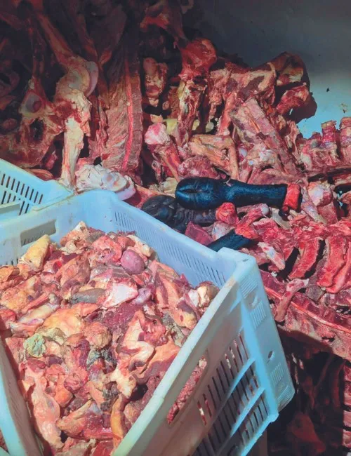 Imagem ilustrativa da imagem Empresa investigada de novo por carne ilegal para consumo