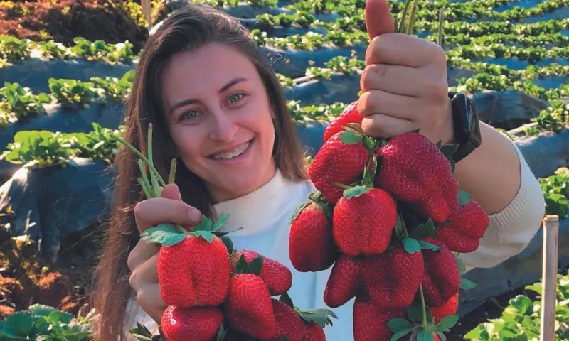 Imagem ilustrativa da imagem Furando a bolha: jovens do ES viram influencers da roça