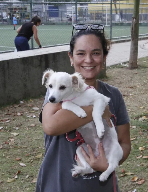 Imagem ilustrativa da imagem Moradores defendem multa por xixi de cães nas calçadas