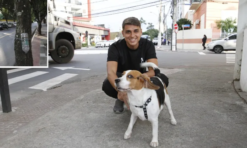 Imagem ilustrativa da imagem Moradores defendem multa por xixi de cães nas calçadas