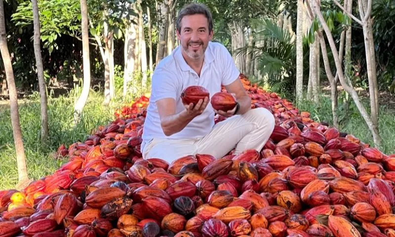 Imagem ilustrativa da imagem Mulheres do cacau: produtoras capixabas buscam melhorias para o cultivo