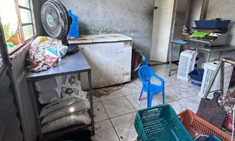 Imagem ilustrativa da imagem Operação integrada apreende carne clandestina em Vila Velha