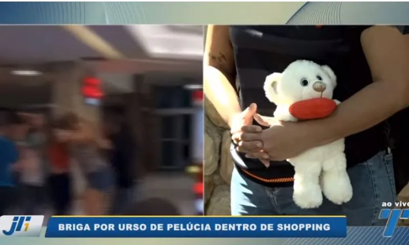 Imagem ilustrativa da imagem Pelúcia da discórdia: briga em shopping por ursinho termina em agressão
