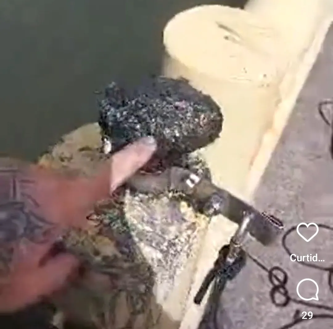 Imagem ilustrativa da imagem Suposta bomba na ponte da Capunga altera trânsito na Madalena