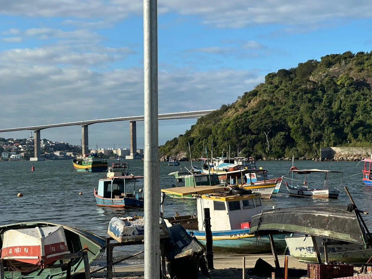 Imagem ilustrativa da imagem Traficantes escondiam drogas dentro de peixes congelados em peixaria de Vila Velha