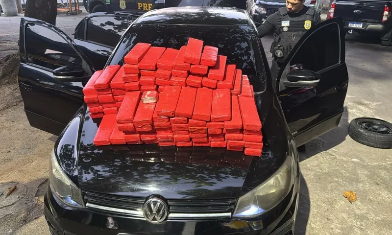 Imagem ilustrativa da imagem MPES denuncia homem por transporte de 100 kg de maconha em Mimoso do Sul