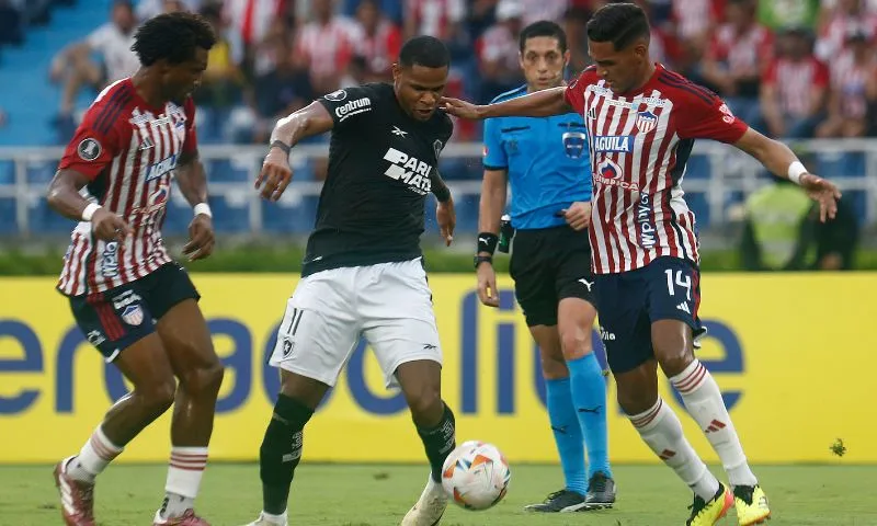 Imagem ilustrativa da imagem Botafogo empata e termina em segundo no Grupo D da Copa Libertadores