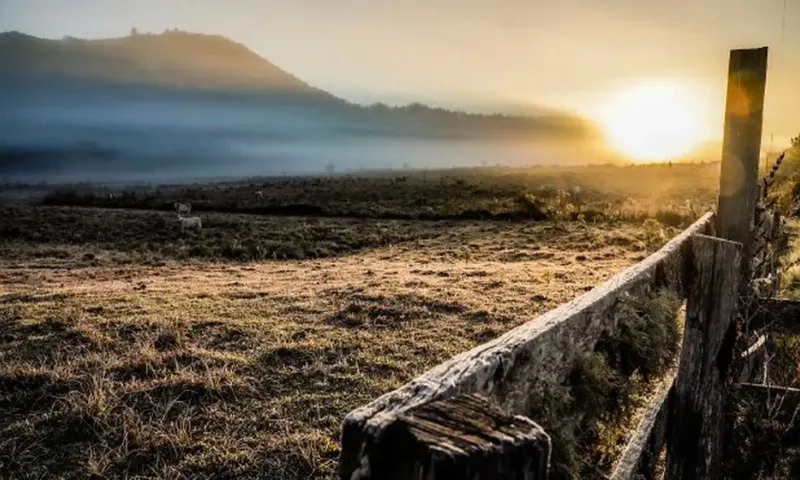 Imagem ilustrativa da imagem Cidade de Santa Catarina registra -7,2ºc, menor temperatura do ano no Brasil