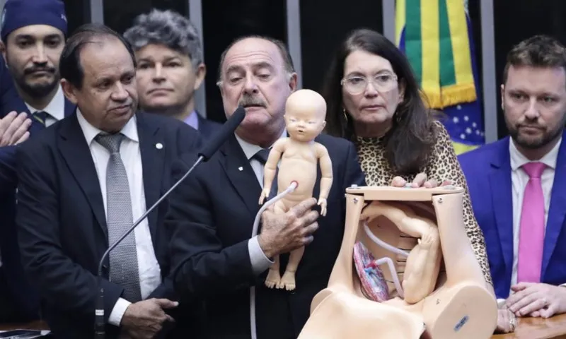 Imagem ilustrativa da imagem Deputado encena aborto em ato contra método de interrupção legal da gravidez