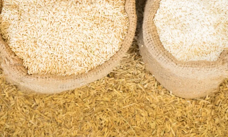 Imagem ilustrativa da imagem Governo anula leilão para compra de arroz importado após supostas irregularidades