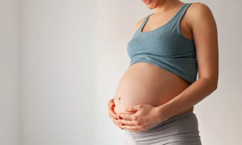 Imagem ilustrativa da imagem INSS prepara mudanças na licença-maternidade das autônomas