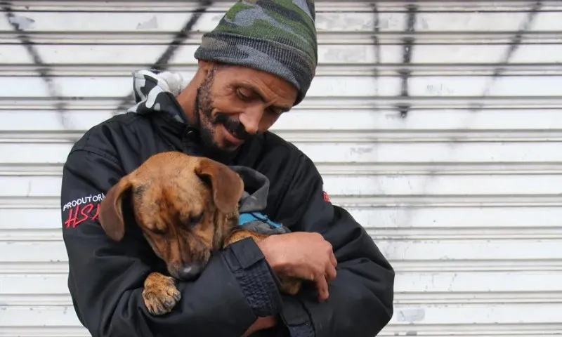 Imagem ilustrativa da imagem Justiça reconhece vínculo familiar e devolve cão a tutores em situação de rua