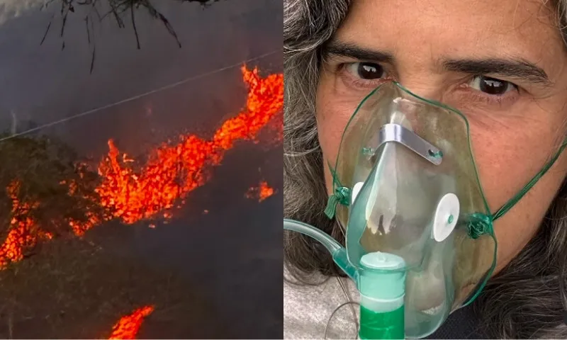 Imagem ilustrativa da imagem Lúcia Veríssimo lamenta incêndio em sua fazenda: 'Metade está queimada'; veja vídeo