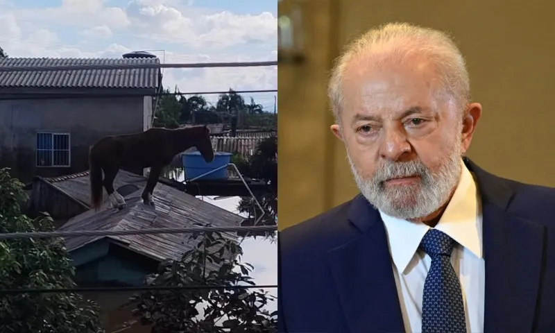 Imagem ilustrativa da imagem Lula diz ter ido dormir inquieto com cavalo ilhado em cima de telhado no RS