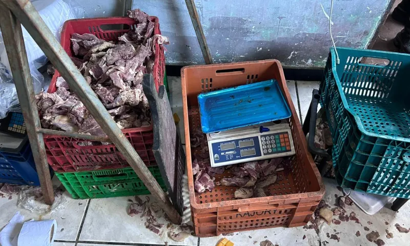 Imagem ilustrativa da imagem Operação integrada apreende carne clandestina em Vila Velha