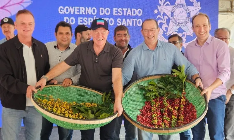 Imagem ilustrativa da imagem Produção de café no ES deve aumentar em até 50%, estima governo