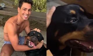 Imagem ilustrativa da imagem Cauã Reymond lamenta morte do cachorro Romeu: 'Nunca pensei que seria tão triste'