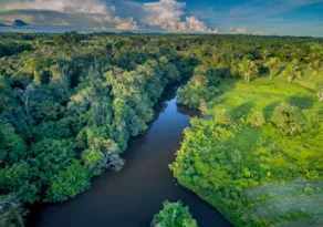 Imagem ilustrativa da imagem Lula cobra agilidade em plano para amazônia