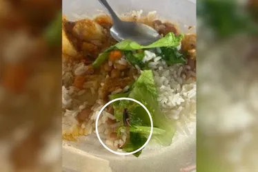 Imagem ilustrativa da imagem Aluno acha escorpião em merenda de escola pública