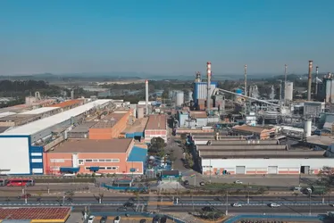Imagem ilustrativa da imagem Aquisição bilionária: Suzano teria oferecido R$ 76 bilhões por fábrica nos EUA