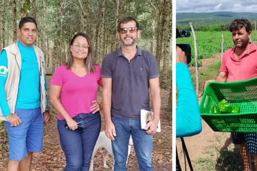 Imagem ilustrativa da imagem Bezerros, Caruaru, Timbaúba e Camaragibe estão em foco do Notícias do Campo