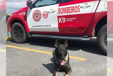Imagem ilustrativa da imagem Bombeiros capixabas encontram quinta vítima soterrada no Rio Grande do Sul